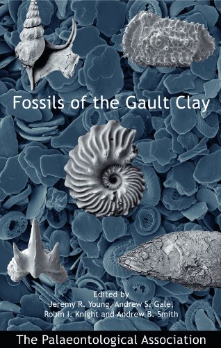 No. 12 - Fossils of the Gault Clay - Cover