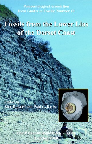 No. 13 - Fossils from the Lower Lias of the Dorset Coast - Cover