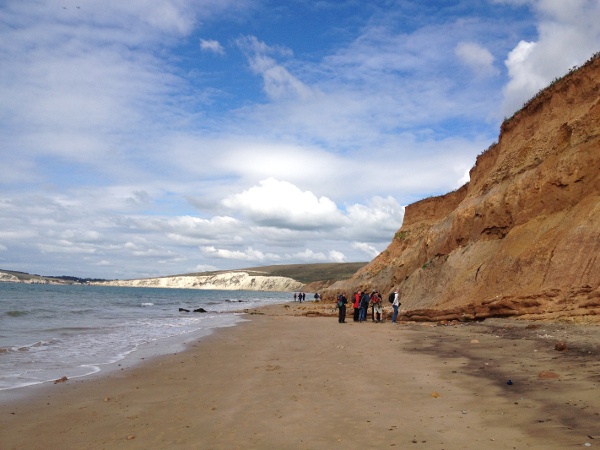 Newsletter Number 90 - Field-trippers on the beach on the Isle of Wight