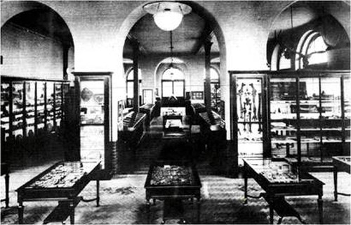 Interior of the Geology Museum in the late 1920s