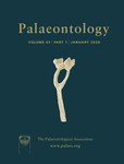 Palaeontology - Vol. 63 Part 1 - Cover Image