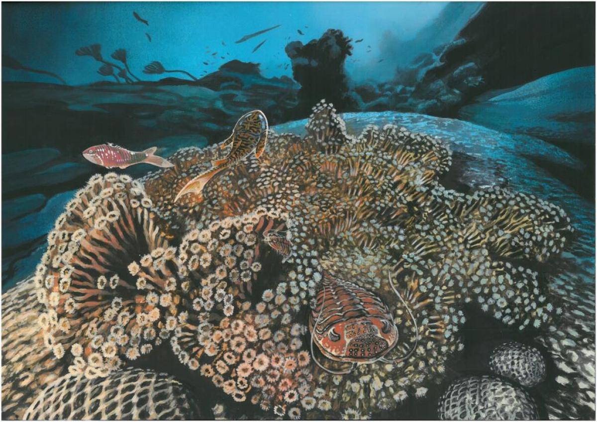 Postcard #1 - Silurian, Wenlock Formation, Welsh Borders