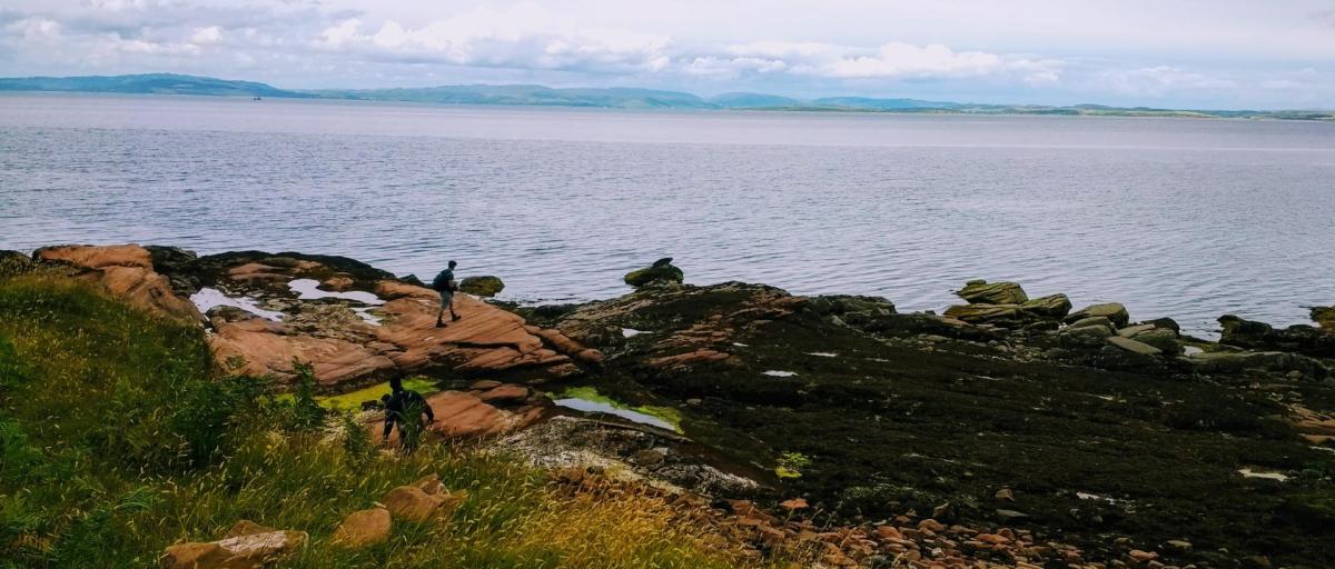 Fossil collecting on the UK coast