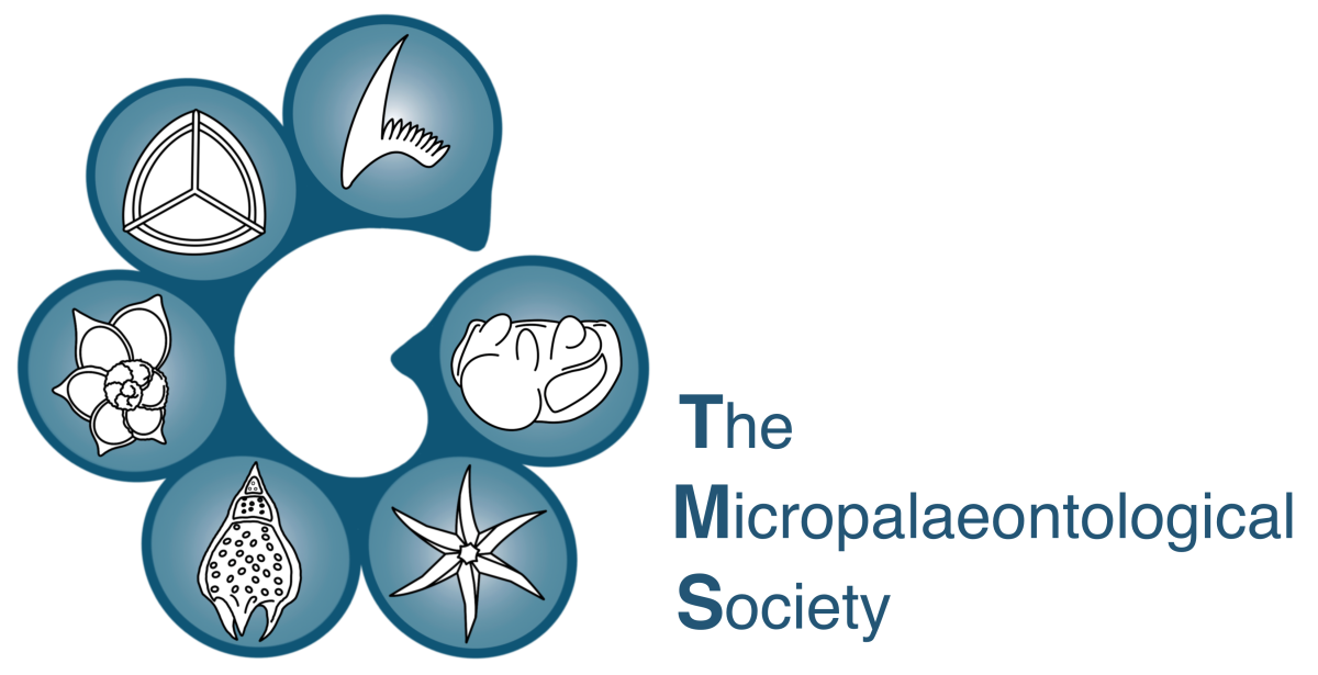 TMS logo